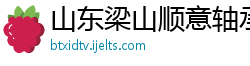 山东梁山顺意轴承有限责任公司